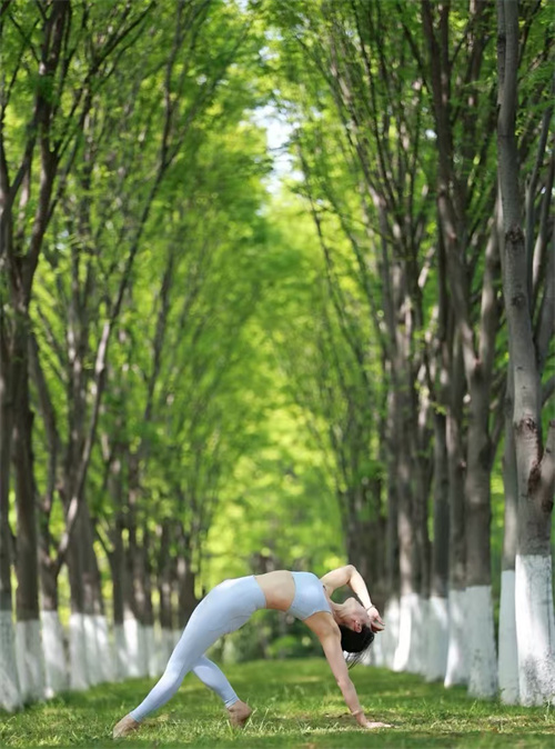林间的伸展(图5)