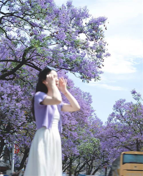 古建前的紫藤花(图3)