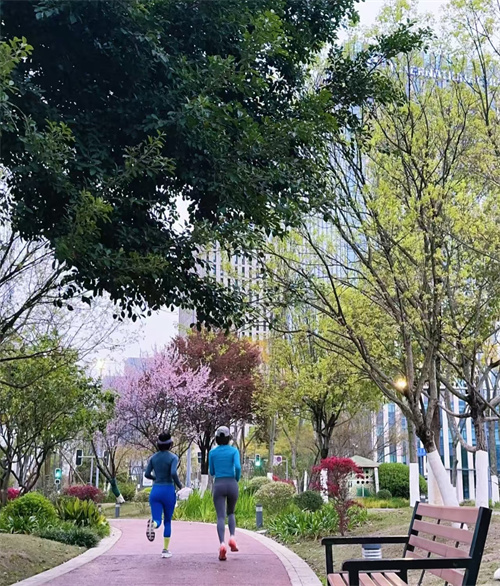 春日晨景乐康途(图1)