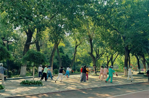 春日绿茵健行(图1)