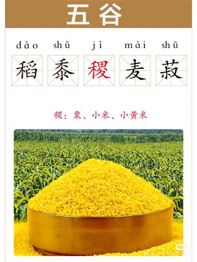 主食的二重奏(图3)