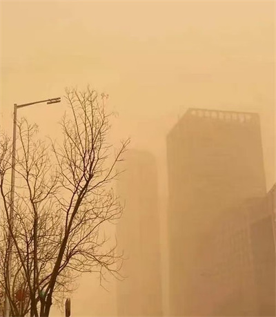 退林还耕与极端天气：生态警钟已然敲响(图2)
