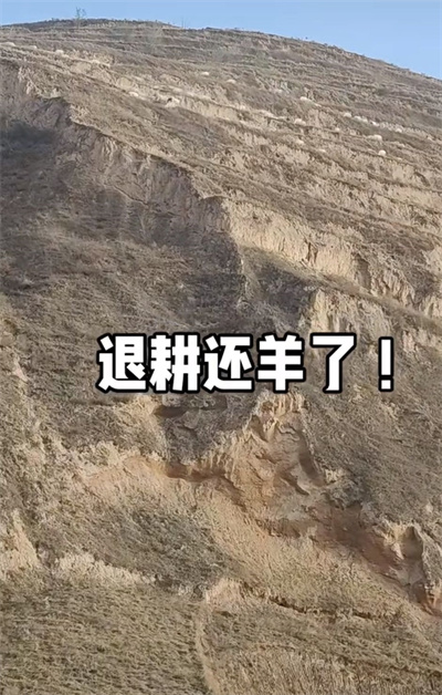退林还耕与极端天气：生态警钟已然敲响(图6)