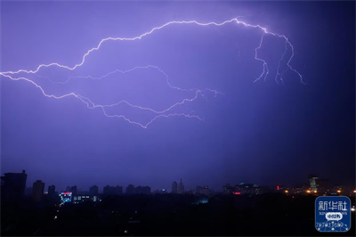 退林还耕与极端天气：生态警钟已然敲响(图7)