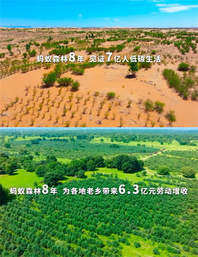 退林还耕与极端天气：生态警钟已然敲响(图8)