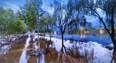 《水湄柳的二重影》(图3)